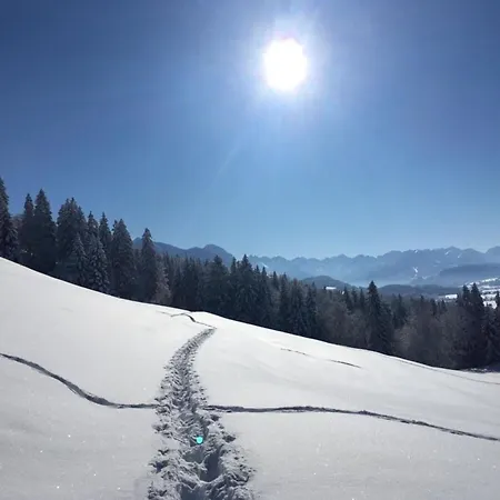 Alpsee Thirteen *