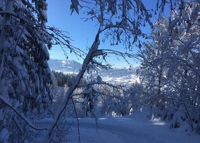 Alpsee Thirteen Appartamento Immenstadt im Allgäu